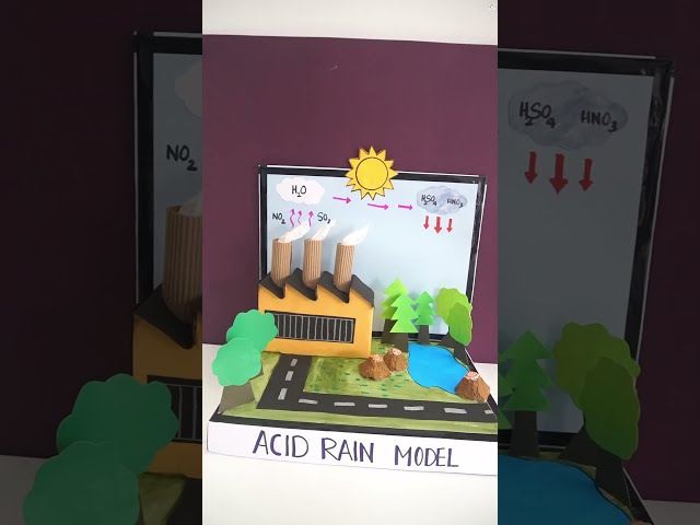 3D Acid Rain Exhibition Model: Step-by-Step Guide | Easy Science Fair Project: Acid Rain Model DIY