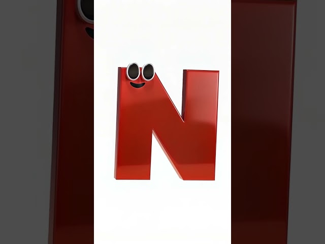 N is for Net
