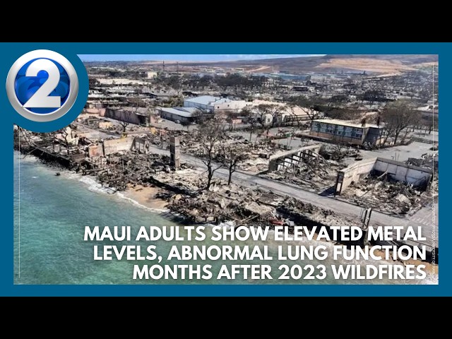 Maui residents show elevated metal levels, abnormal lung function post-wildfires: New UH report