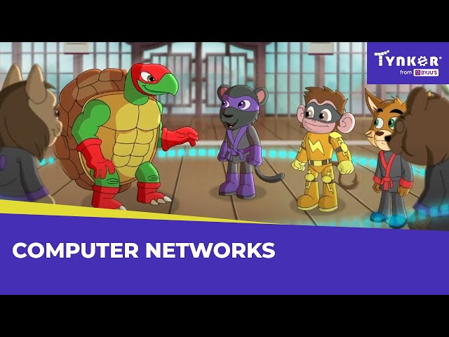 What are Computer Networks? | All About Computers | Tynker