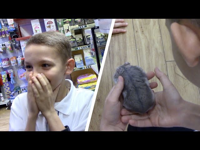 Mom Surprises Son With A Pet Hamster! **Emotional** (NOT CLICKBAIT!)