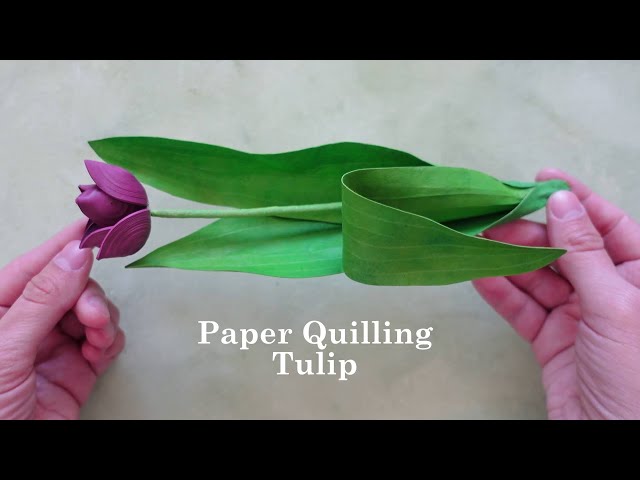 How to Make Paper Quilling Tulips - Flower Tutorial