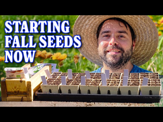 All The Seeds I'm Starting For Fall Before Its Too Late!