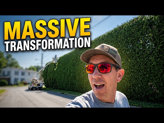 This Video Will Show You How we Trim a Giant Cedar Hedge