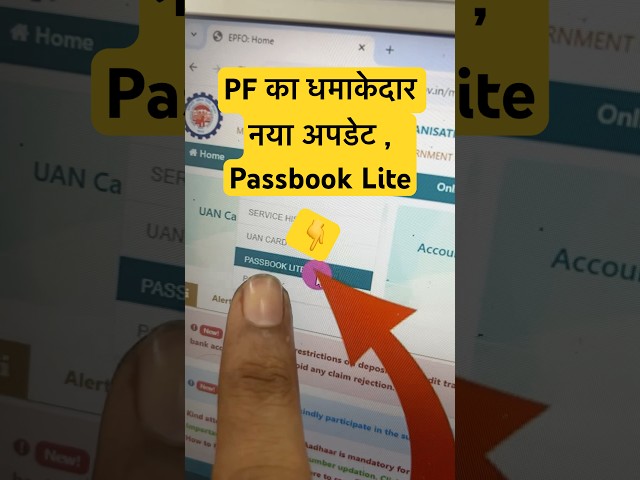 Passbook Lite | PF UAN New PASSBOOK Lite New Option on UAN Portal #passbook_lite #passbooklite