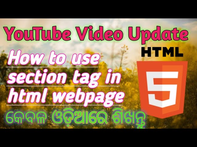 HTML Tutorial | Section Tag in html Website or Webpage