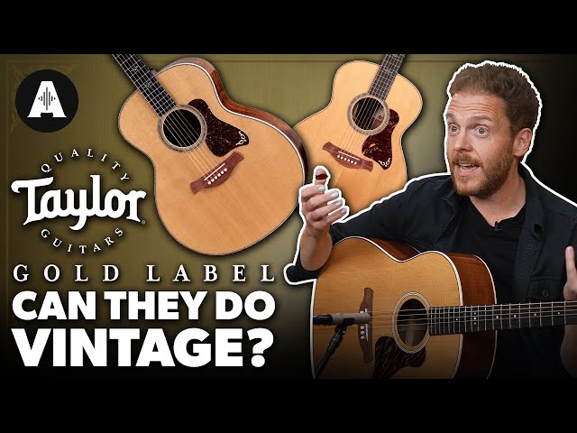 Taylor Gold Label Acoustic Guitars - Vintage Specs, Taylor Playability?!