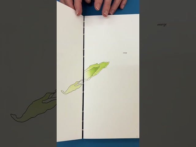 Student video: Emerge by Kitty Maryatt - Artists' Book #artistsbooks