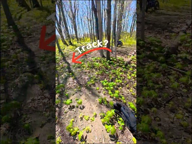 I Found a Hidden Dirtbike Track! #dirtbike  #ridstar #ebike #surron #yozma #rixoc