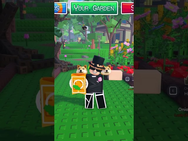 garden horizons seed packs #roblox #gardenhorizons #seedpack #shorts #funny #growagarden #fyp