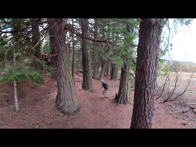 A stalker in the woods.