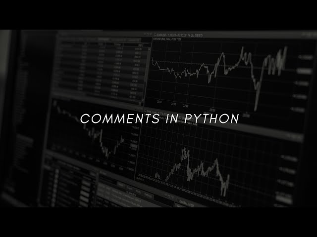python comments