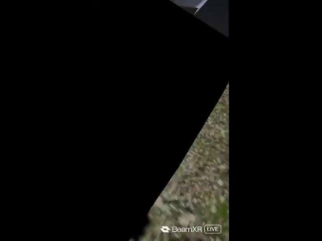 👻ug_plungy playing hail vr cause I'm bored🎃 #vr #live
