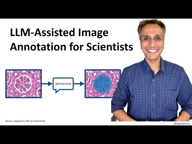 01-LLM-Assisted Image Annotation - Concepts and Overview