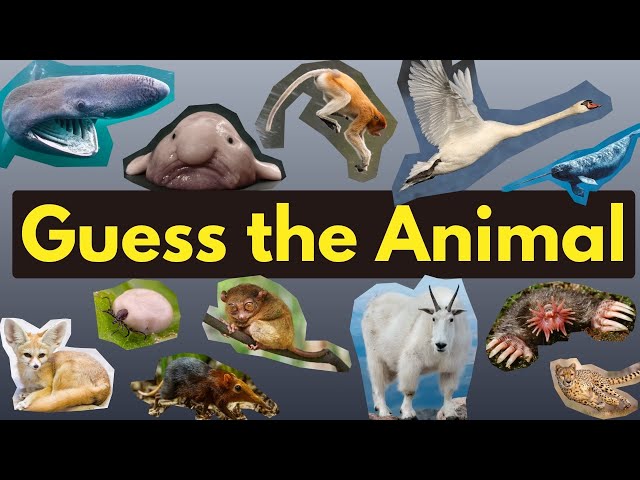 Guess 100 Animals Quiz | Easy to hard 3 Seconds Quiz