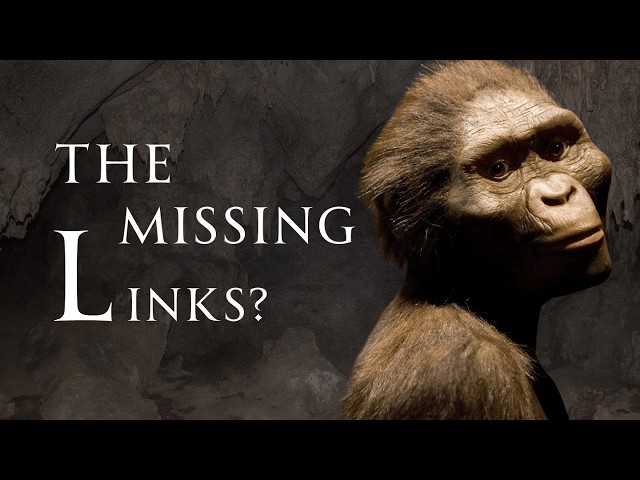 The Ghost Populations - Missing Evolutionary Links | Human Voiced, No Ads
