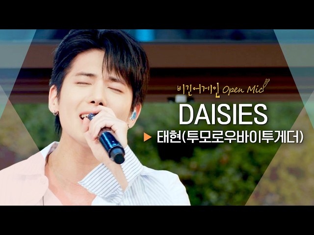 264 5 DAISIES