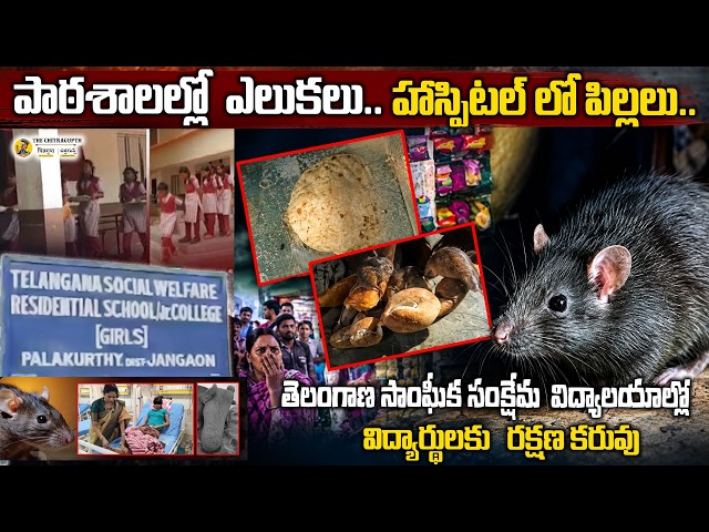 పాఠశాలల్లో  ఎలుకలు హాస్పిటల్ లో పిల్లలు | తెలంగాణ సాంఘీక సంక్షేమ    విద్యార్థులకు  రక్షణ కరువు