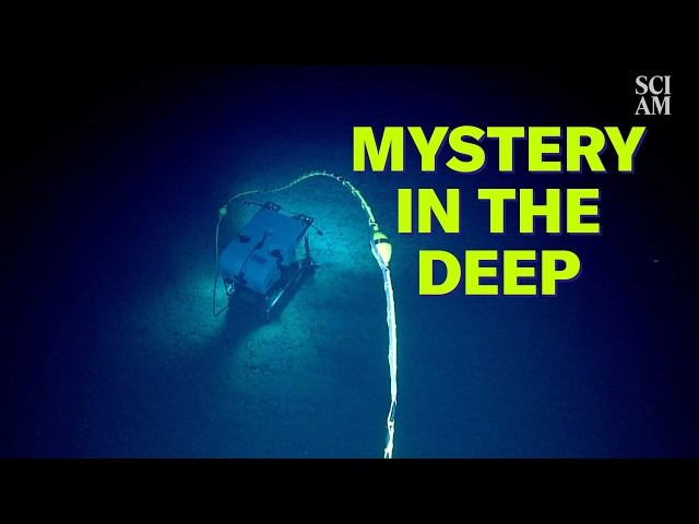 Nodules: Deep-Sea Life Giver or Key to Our Energy Future?