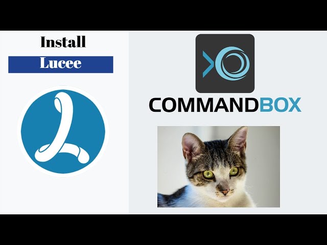 Lucee Installation Locally Video