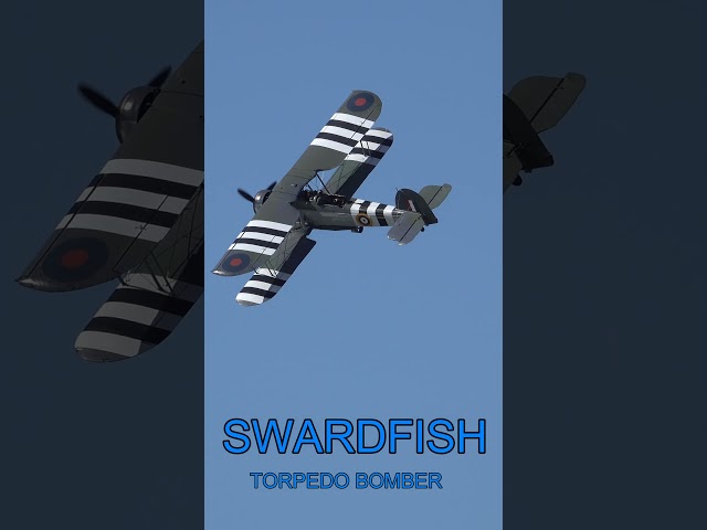 Swordfish