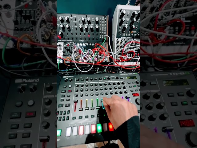 #techno #modular #rawtechno #ableton #modularsynth #technolovers #tr8s #technosession #technomusic