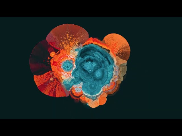 Joris Voorn - Gravity [Official Visualiser]