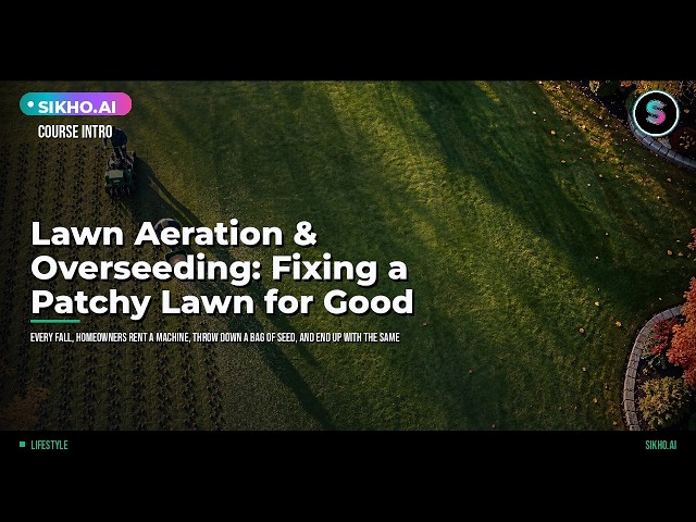Lawn Aeration & Overseeding: Fix a Patchy Lawn for Good | Sikho.ai