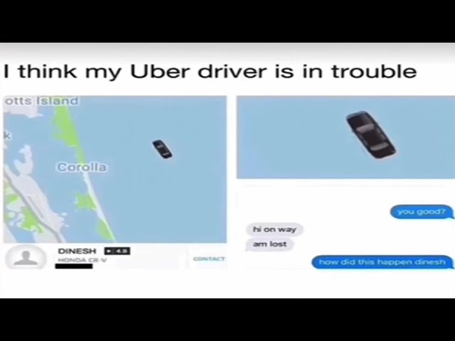 The Bestest Memes Ever