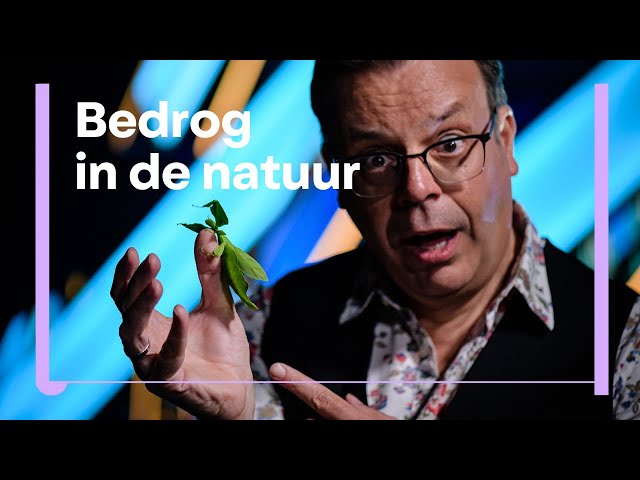 KENNISMAKERS 1: Waarom zijn planten en dieren zo goed in liegen en bedriegen?