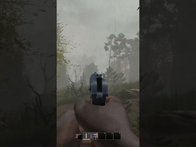 How to handle a KAREN in DayZ