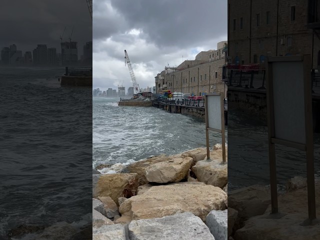 What is the city?