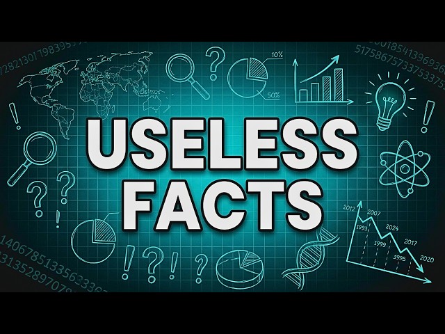 Useless Facts Everyone Should Know (For Sleep)