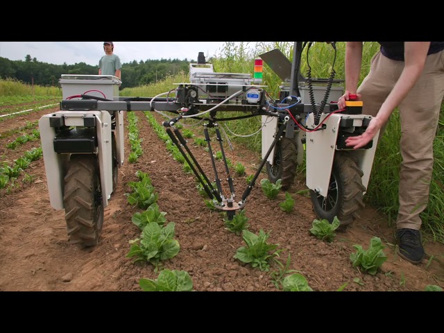 Watch an Autonomous Weeding Robot in Action