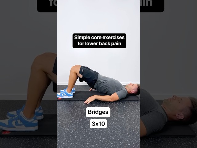 3 SIMPLE Exercises For Lower Back Pain Relief! (Strengthen Your Spine)