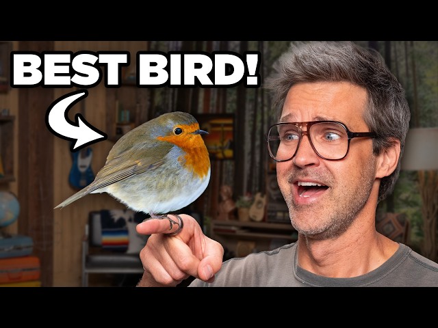Should You Break Up Over A Bird?