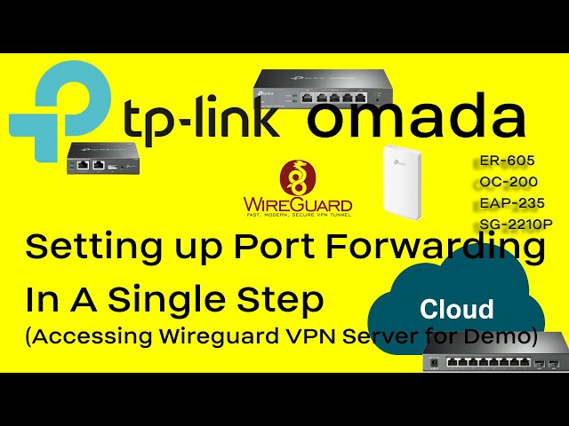 LC15: Port Forward with TP-Link Omada ER-7206 ER-605, using Wireguard VPN Server for Demo