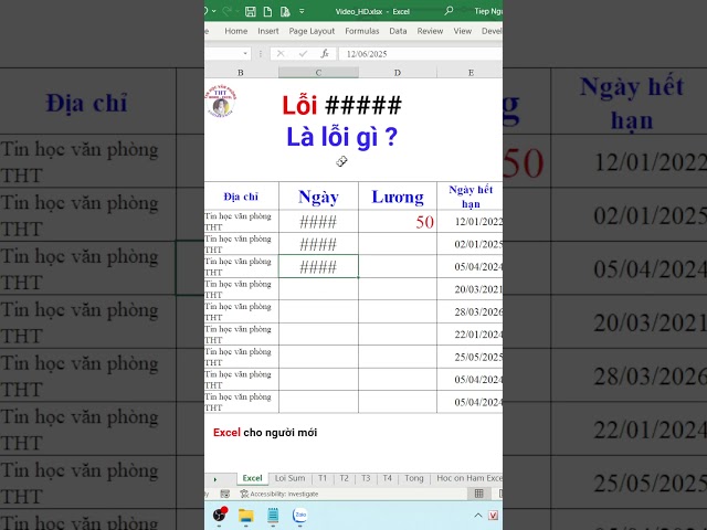 What is the #### error in Excel?