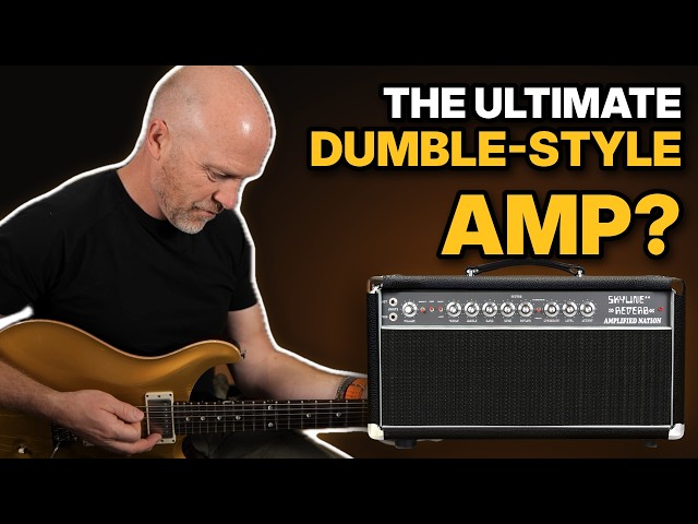 Dumble Cleans, Serious Gain, No Attenuator Needed | Amplified Nation Skyline Reverb