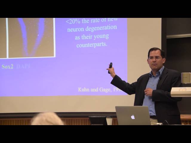 Cell Fate Decisions - David Schaffer, Ph.D.