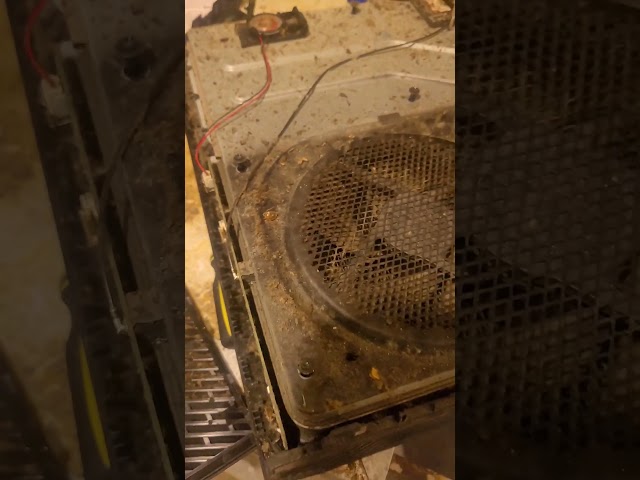 Mi*gross*oft Xbox dOne