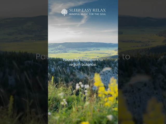Sunrise Serenade & Nature's Awakening #shorts