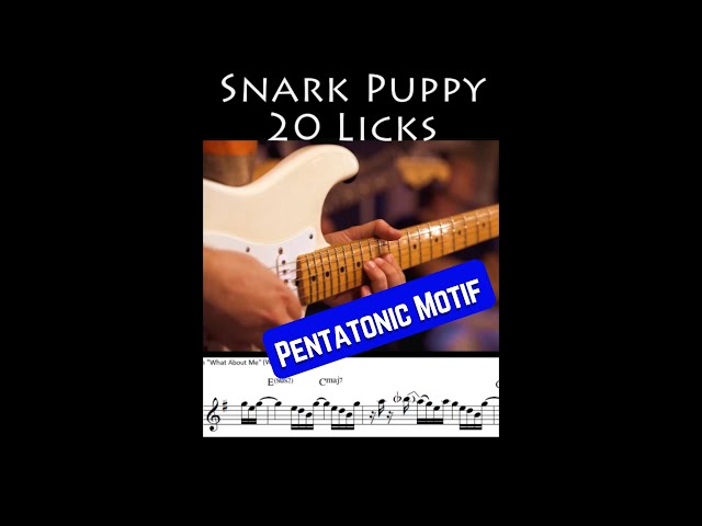 Powerful PENTATONIC lick by Bob Lanzetti from Snarky Puppy