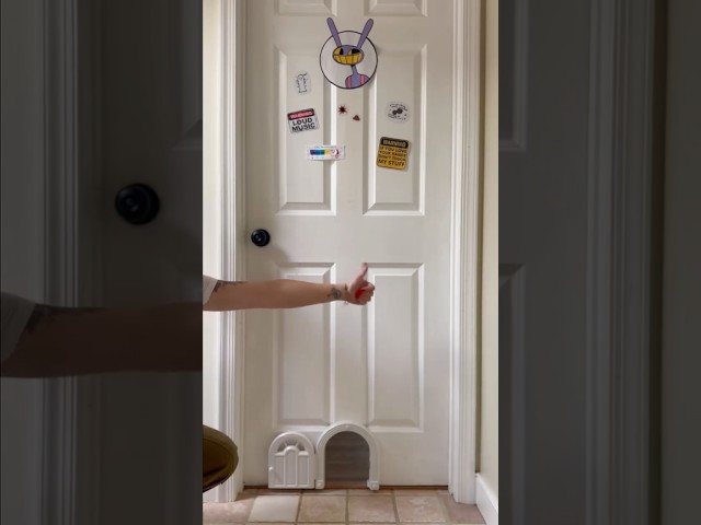 this took me like 5 minutes! #diy #diyprojects #catdoor