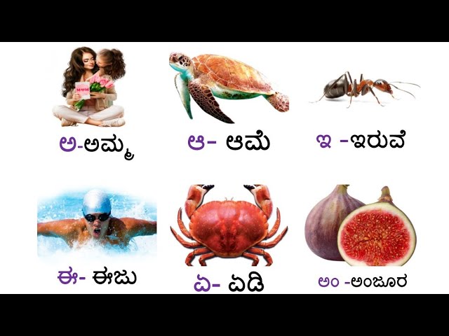 Kannada Alphabets//ಕನ್ನಡ ವರ್ಣಮಾಲೆಗಳು//Kannaḍa varṇamālegaḷu//ಅ ಆ ಇ ಈ ಋ ಎ ಏ ಐ ಒ ಓ ಔ