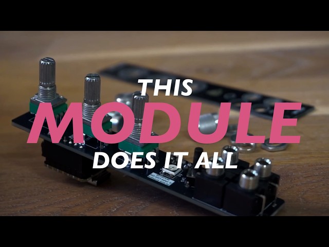 This DIY Eurorack Module Can Do EVERYTHING (Sampler, Drums, Braids…)