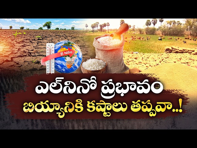 పదేళ్లలో తొలిసారి తగ్గిన వరి ఉత్పత్తి....బియ్యం ధరలపై పెను ప్రభావం? || Idi Sangathi