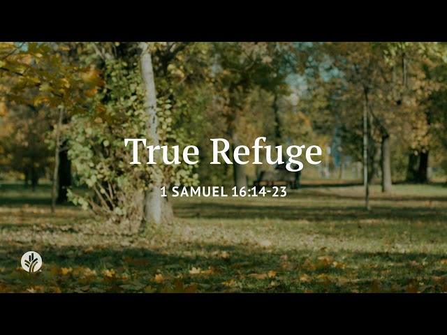 True Refuge | Our Daily Bread | Daily Devotional