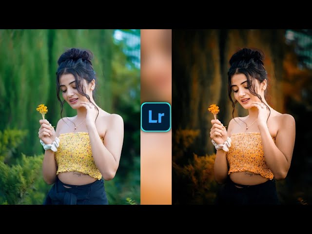 Dark Brown Tone Lightroom Photo Editing Tutorial | Lightroom Preset Download