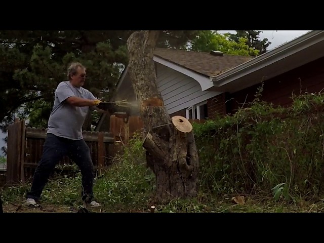 If a tree falls on a house and there's nobody home to hear it